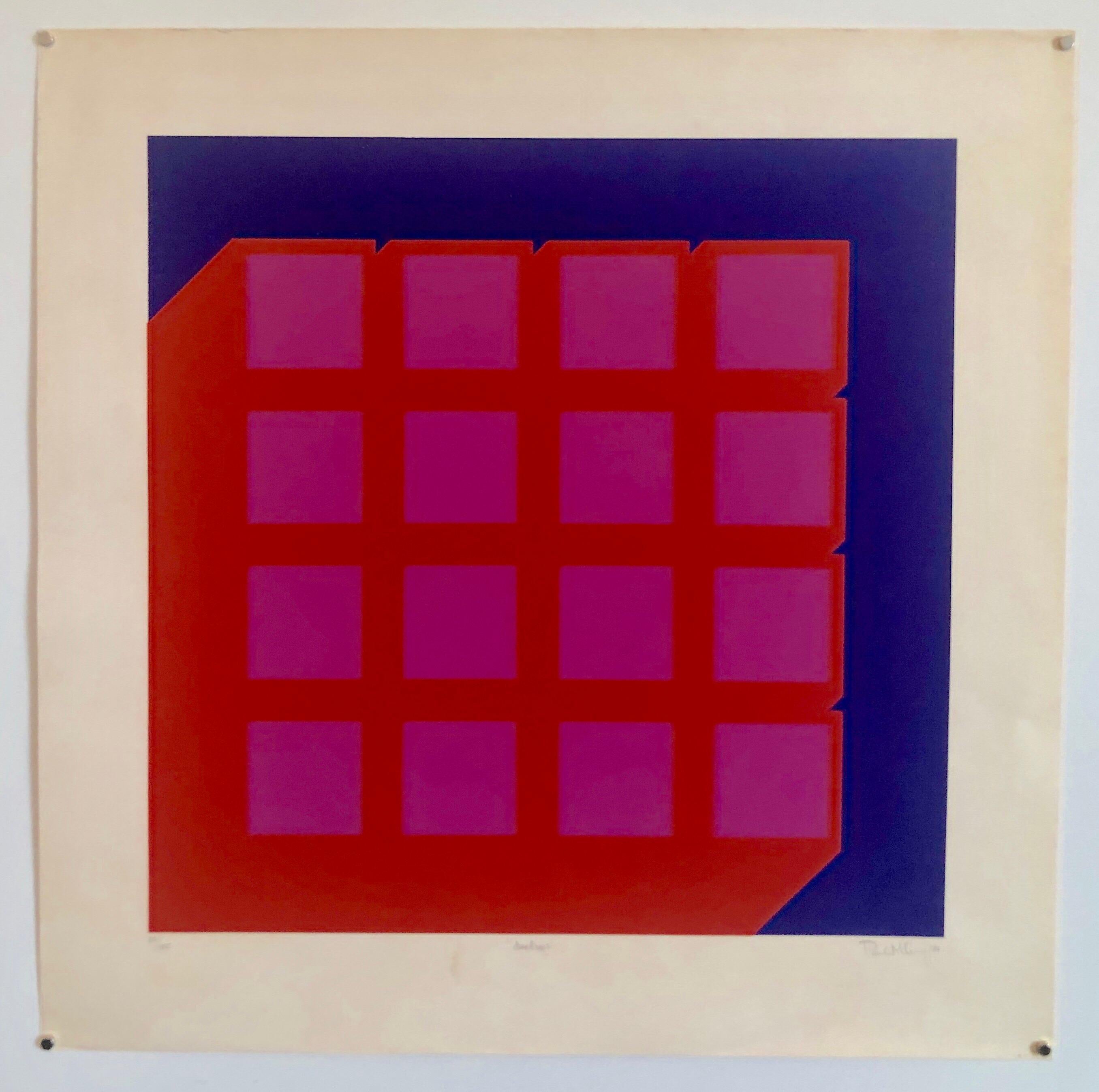 Abstract Geometric 1970s Kinetic Silkscreen Screen Print Manner Vasarely Op Art 1