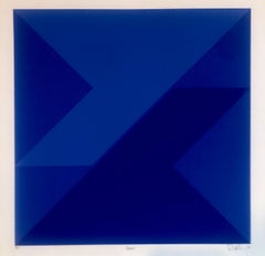 Kinetischer Siebdruck im Stil Vasarely Op Art, 1970er Jahre, geometrisches Muster