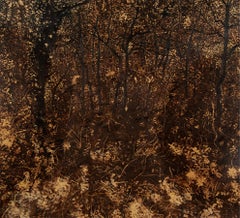 Paul Manes - Paisaje sin título, Pintura 2024