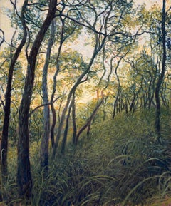 Valley in Spring