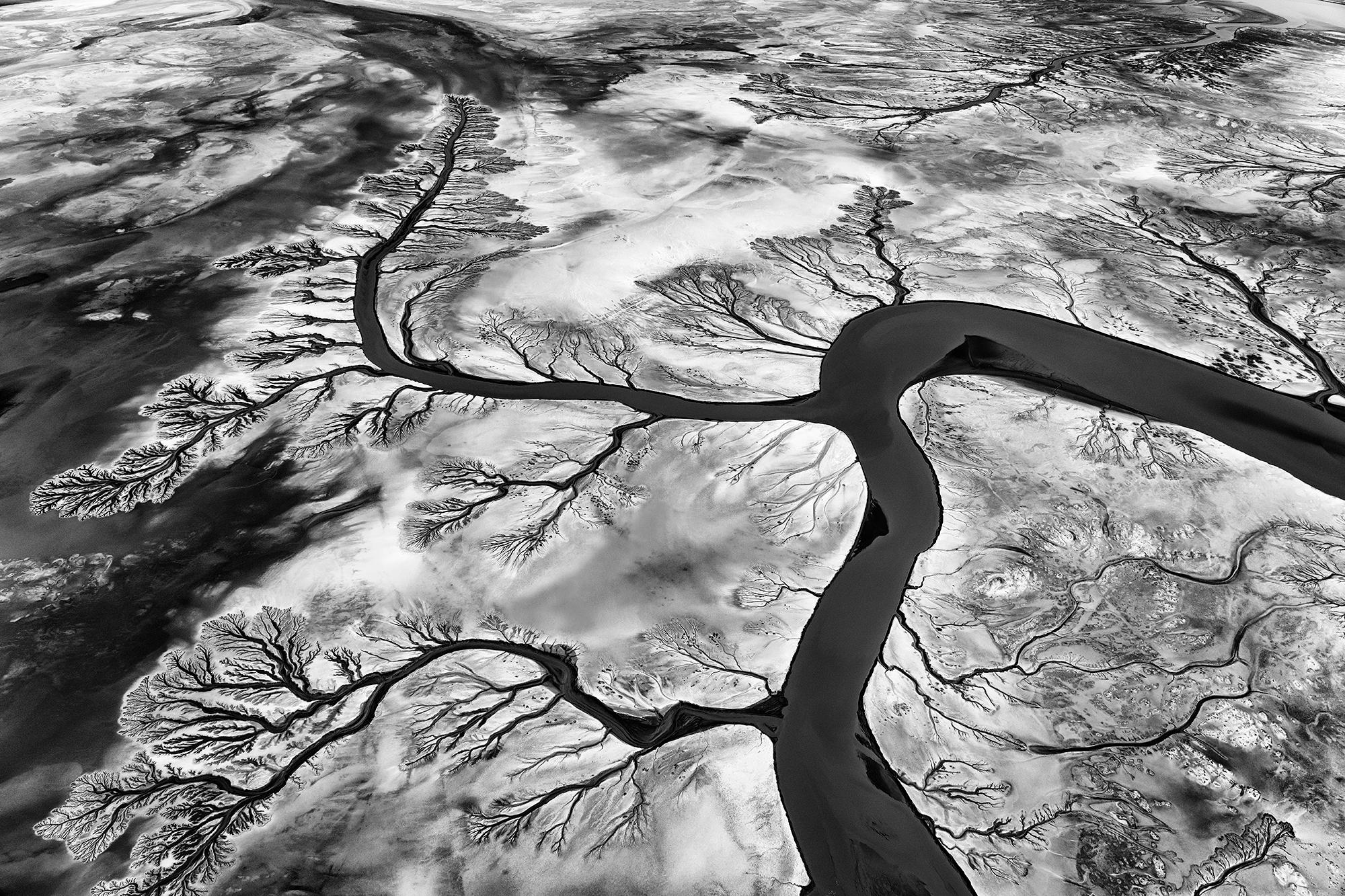 Paul Nicklen Black and White Photograph - Arterial Poetry 