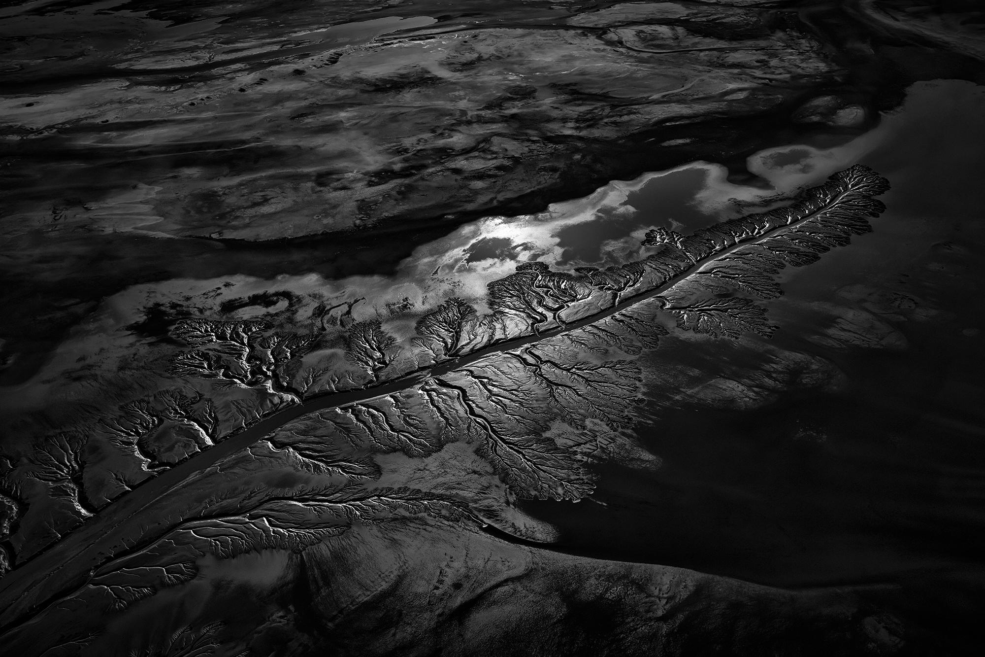 Paul Nicklen Black and White Photograph - Arterial Shadows