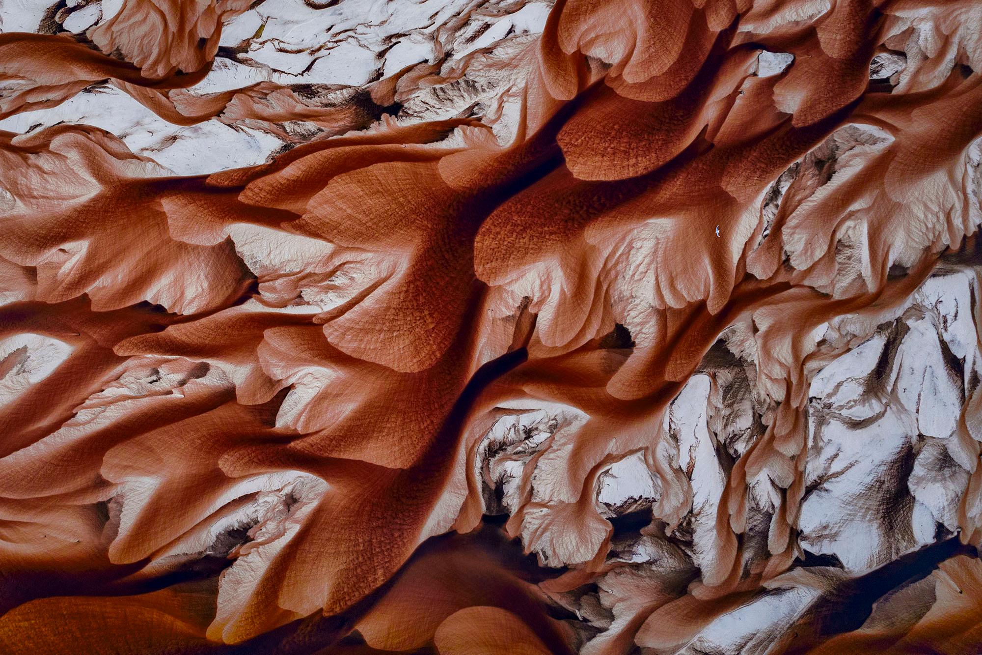 "Colori in volo
Parco Nazionale dei Lençóis Maranhenses, Brasile - 2024

24 × 36 in / 61 × 91,4 cm / Edizione di 20 
31 × 46.5 in / 78.7 × 118.1 cm / Edizione di 15
40 × 60 in / 101,6 × 152,4 cm / Edizione di 10
60 × 90 in / 152,4 × 228,6 cm /