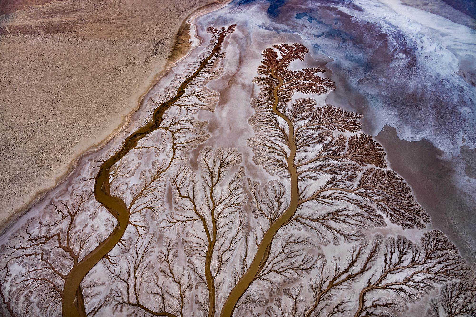 “Gaia’s Lungs” from the Delta Series 
Mexico, 2022

Available sizes:

24 × 36 in / Edition of 20
31 × 46.5 in / Edition of 15
40 × 60 in / Edition of 10 - $12,500
60 × 90 in / Edition of 7

"The Colorado River begins just south of the continental