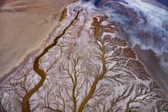 Gaia's Lungs, Mexico by Paul Nicklen - Contemporary Landscape Photography