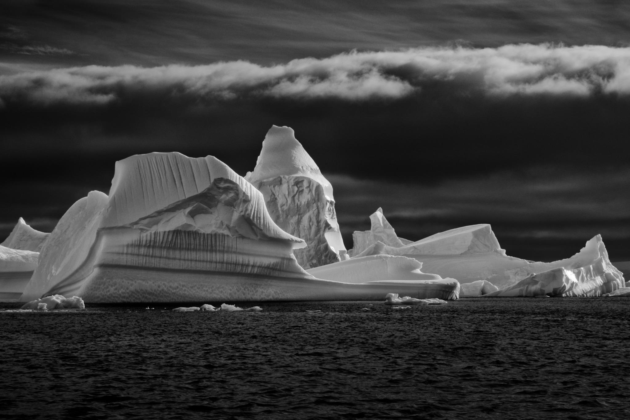 Enraciné
Allée des icebergs, Antarctique, 2017

24 × 36 in / 61 × 91,4 cm / Édition de 20 - 3 500
31 × 46.5 in / 78.7 × 118.1 cm / Edition de 15 exemplaires
40 × 60 in / 101.6 × 152.4 cm / Edition de 10 exemplaires
60 × 90 in / 152.4 × 228.6 cm /