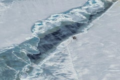 Icy Pilgrimage, Antarctica by Paul Nicklen - Contemporary Icescape Photography