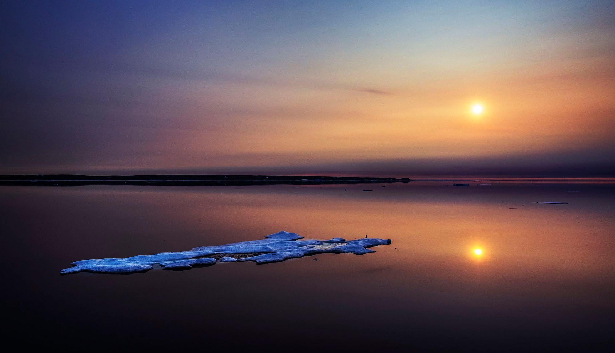 "Solsticio"
Canadá Ártico, 2017

24 × 36 in / 61 × 91,4 cm / Edición de 20 
31 × 46,5 in / 78,7 × 118,1 cm / Edición de 15
40 × 60 in / 101,6 × 152,4 cm / Edición de 10
60 × 90 in / 152,4 × 228,6 cm / Edición de 7

"A medianoche, una gaviota