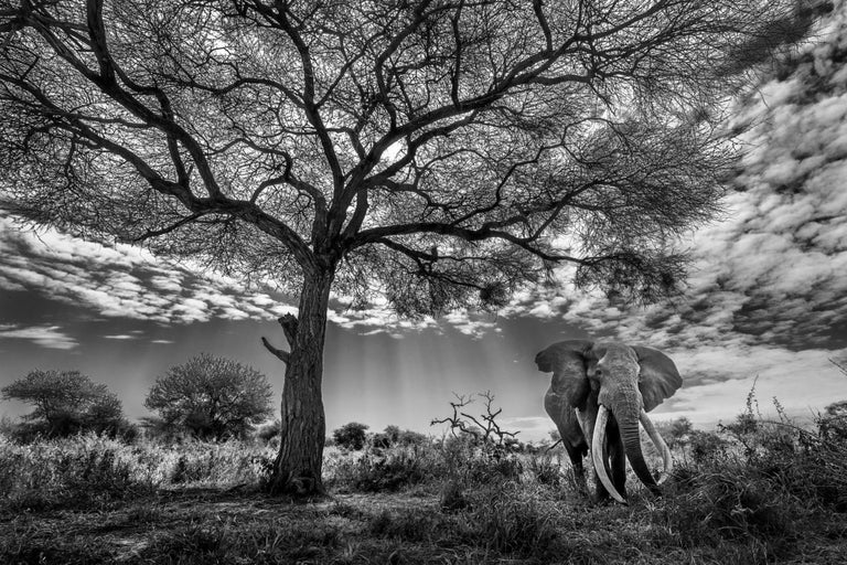 old nature photographers