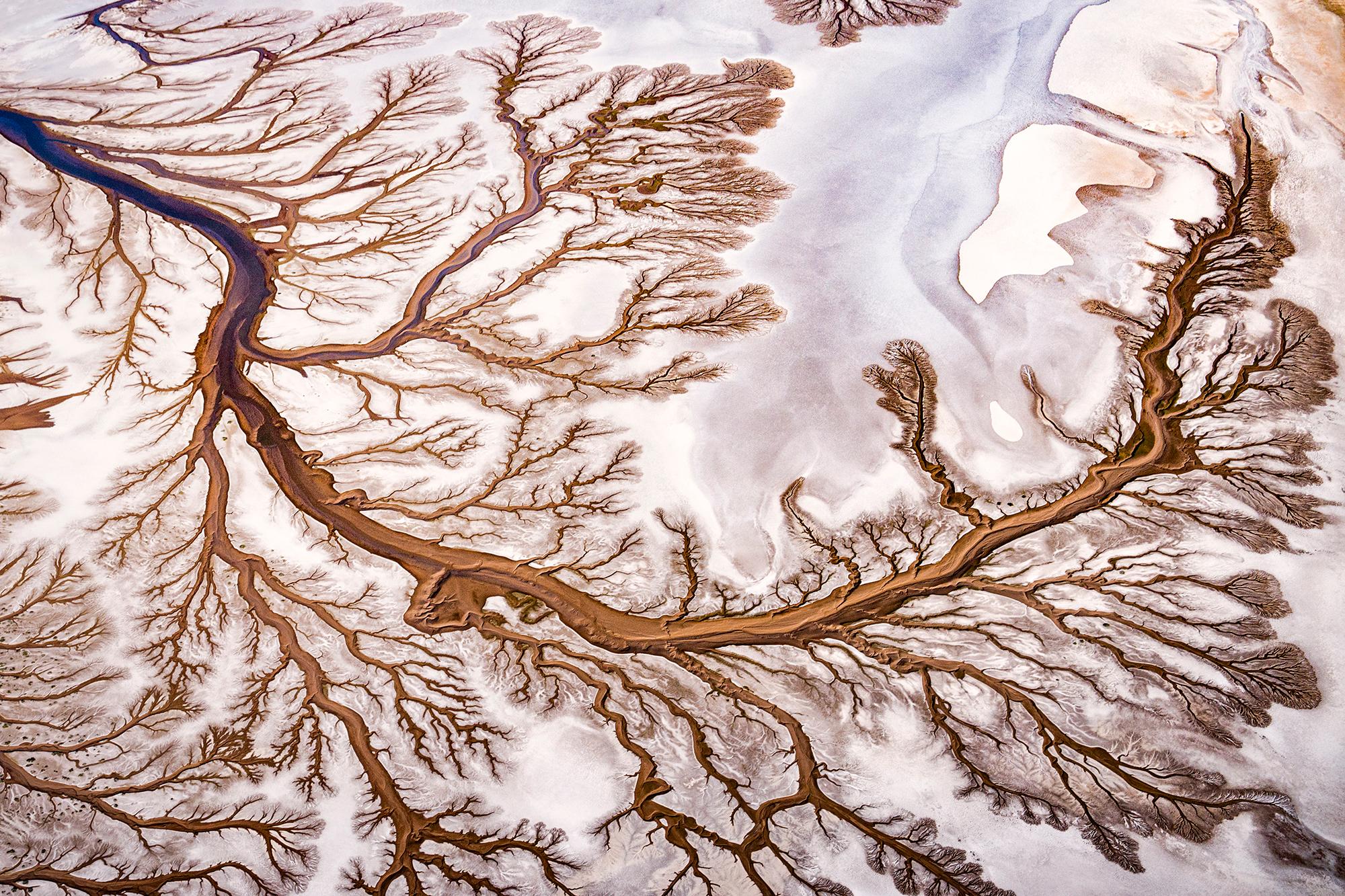 Paul Nicklen Landscape Photograph - Written In Water 