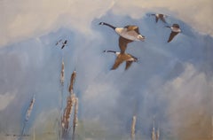 Canada Geese Flying Through A Bright Blue Sky
