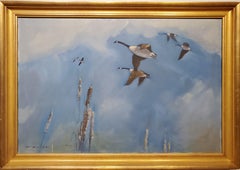 Canada Geese Flying Through A Bright Blue Sky