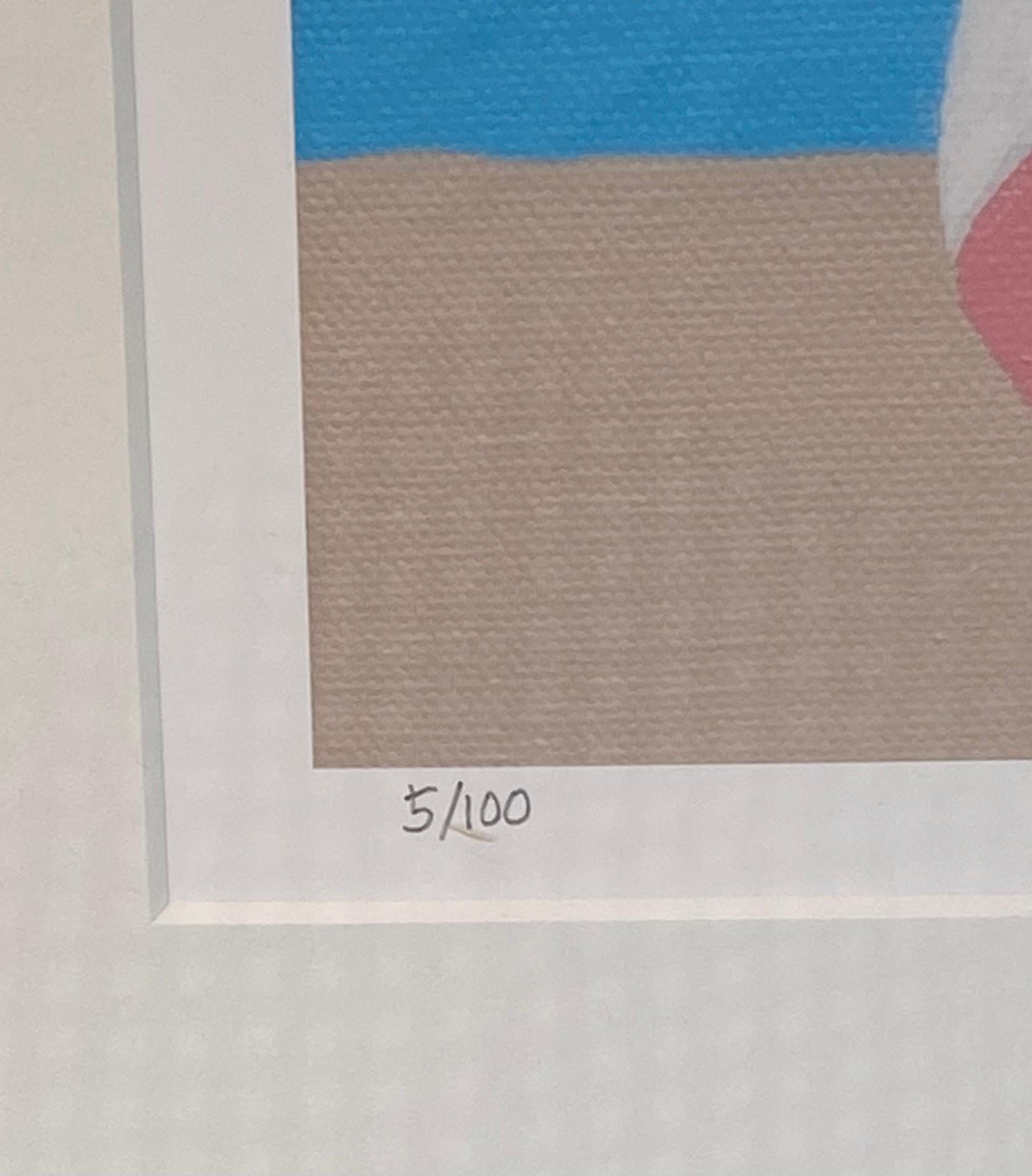 aesthetic beach ball