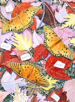 Animal Paintings