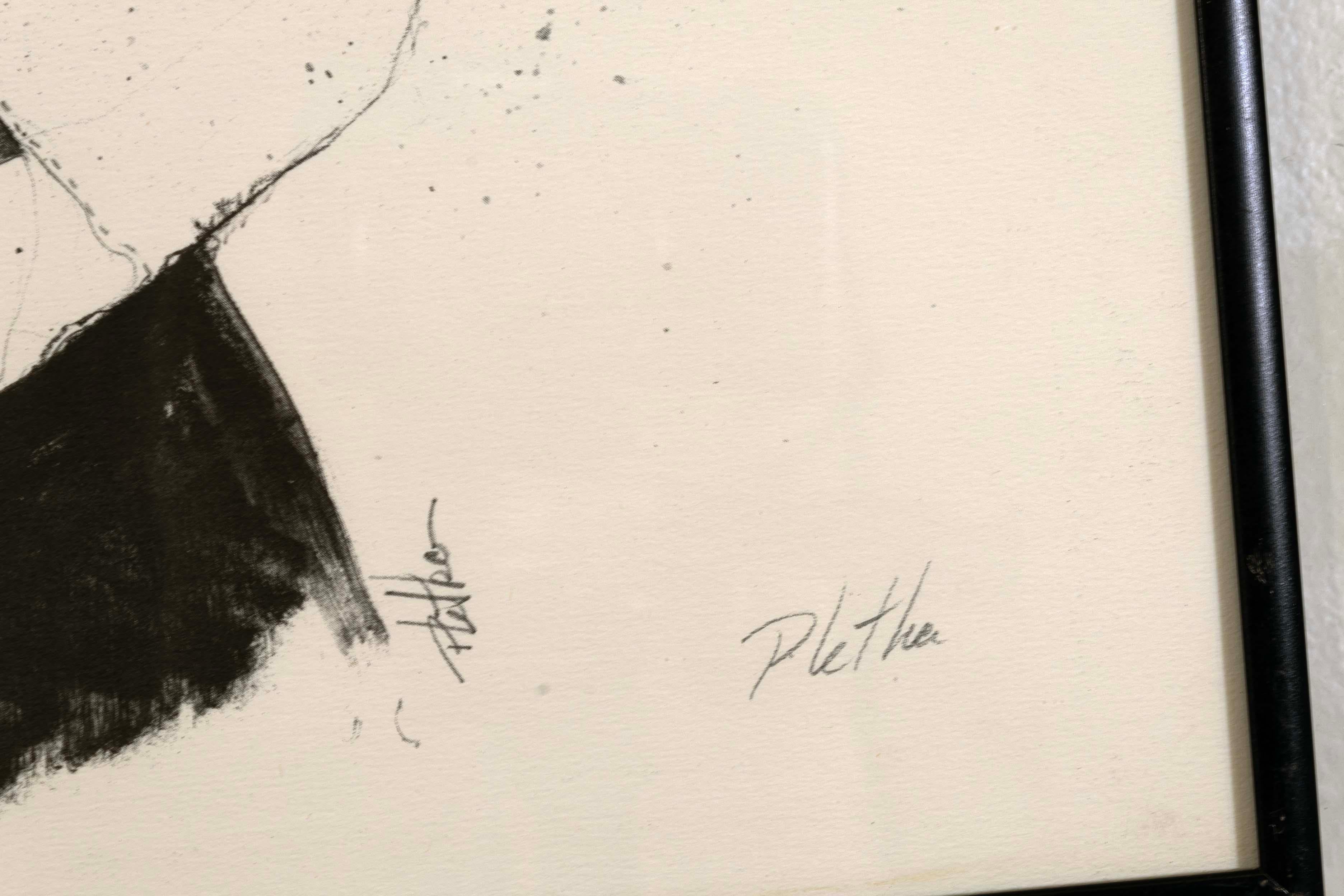 Paul Pletka Native American Portrait V Signed Litho 49/150 Framed American SW 3