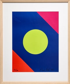 Framed Disk Painting by Paul Reed; Bright Blue, Green, Hues of Pinks and Orange