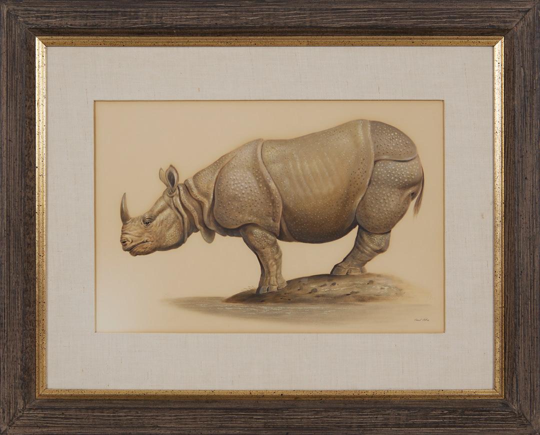 Large Rhinoceros, 20th Century Magical Realism, Cleveland School Artist - Painting by Paul Riba