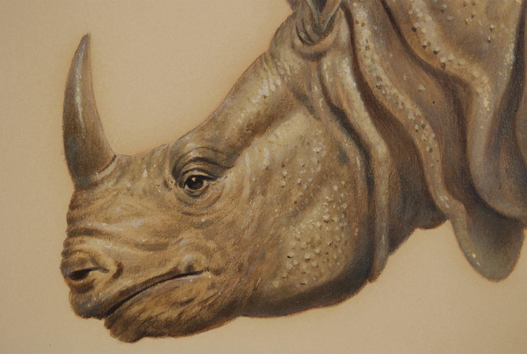 Large Rhinoceros, 20th Century Magical Realism, Cleveland School Artist For Sale 1