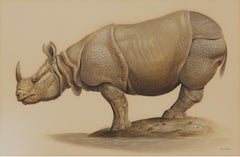 Grandes rhinocéros du 20e siècle, réalisme magique, artiste de l'école de Cleveland