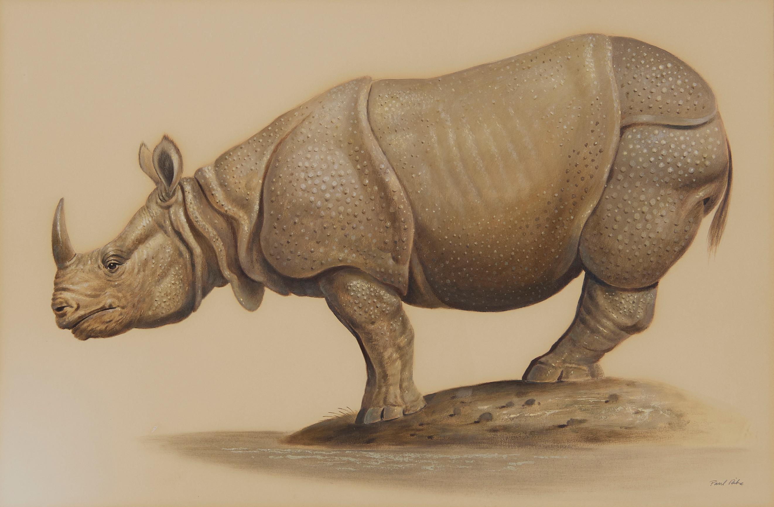 Grandes rhinocéros du 20e siècle, réalisme magique, artiste de l'école de Cleveland