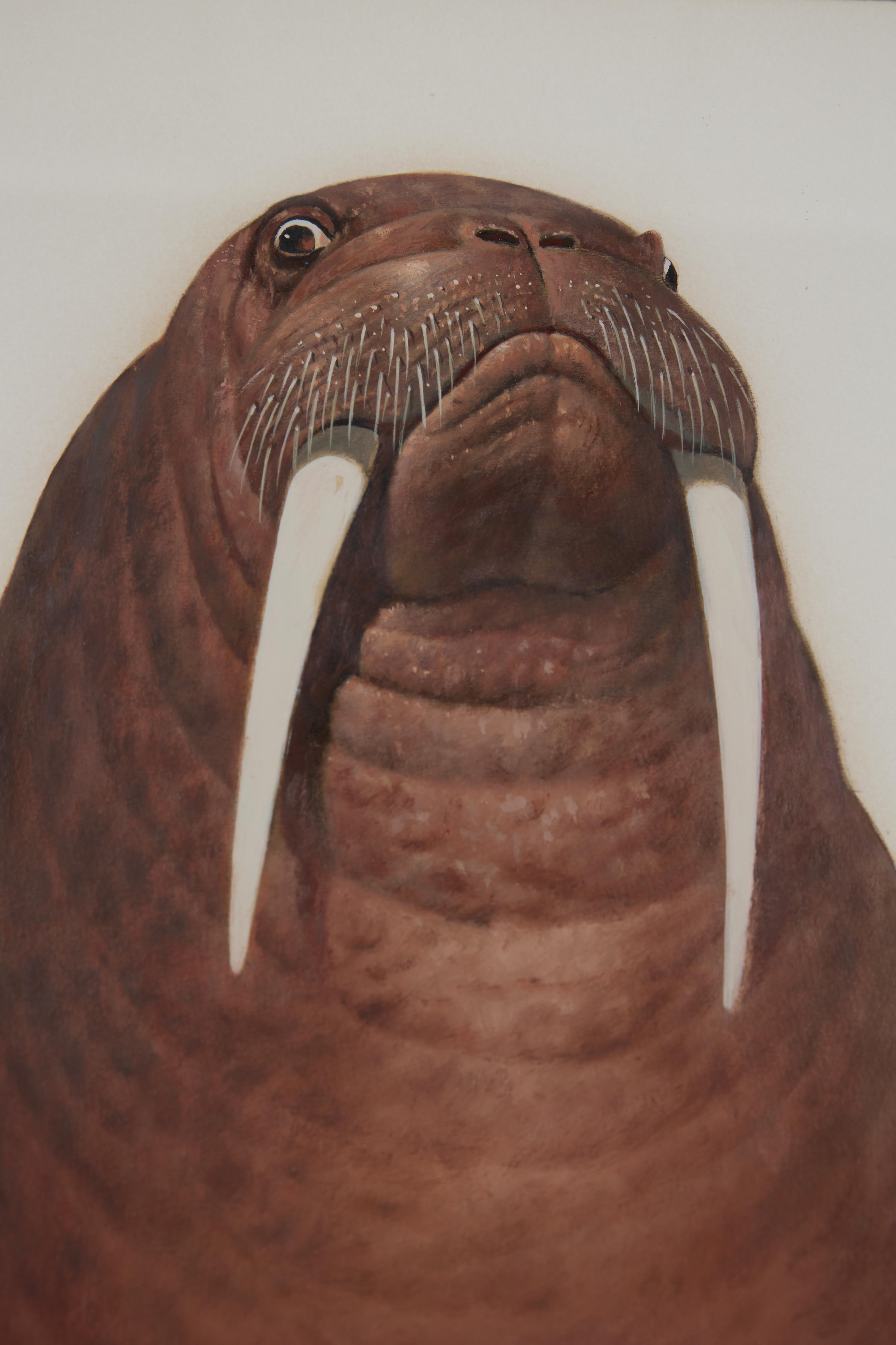Paul Riba (American, 1912-1977)
Walrus
Oil on paper
Signed lower right
29.25 x 24.5 inches
34.75 x 30 inches, framed

Paul Riba was a painter of Magic Realism.  He explored the unreal juxtaposition of objects with his own touch of exacting realism. 