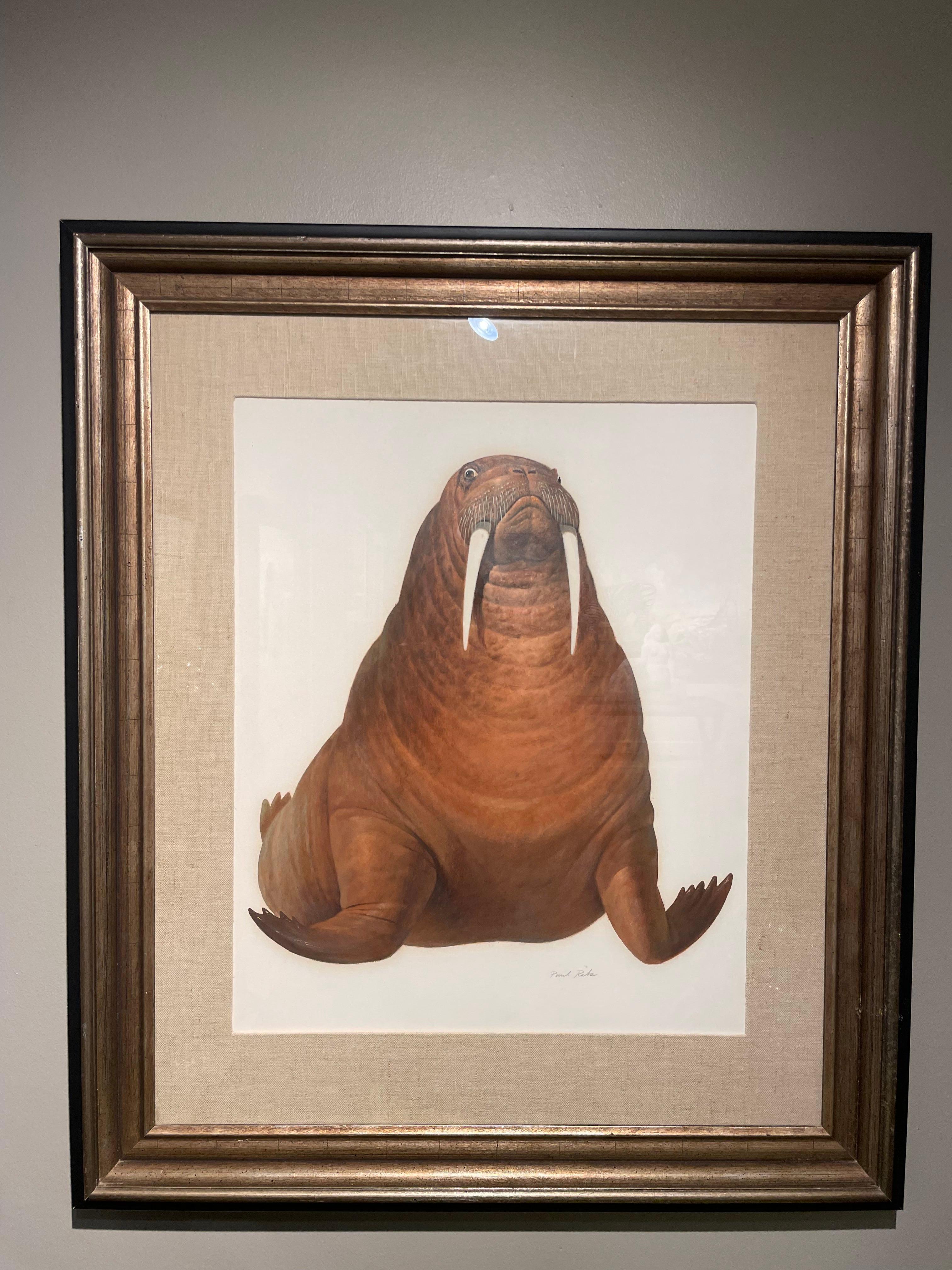 Walrus Oil Painting, 20th Century Magical Realism Artist, Cleveland School For Sale 5