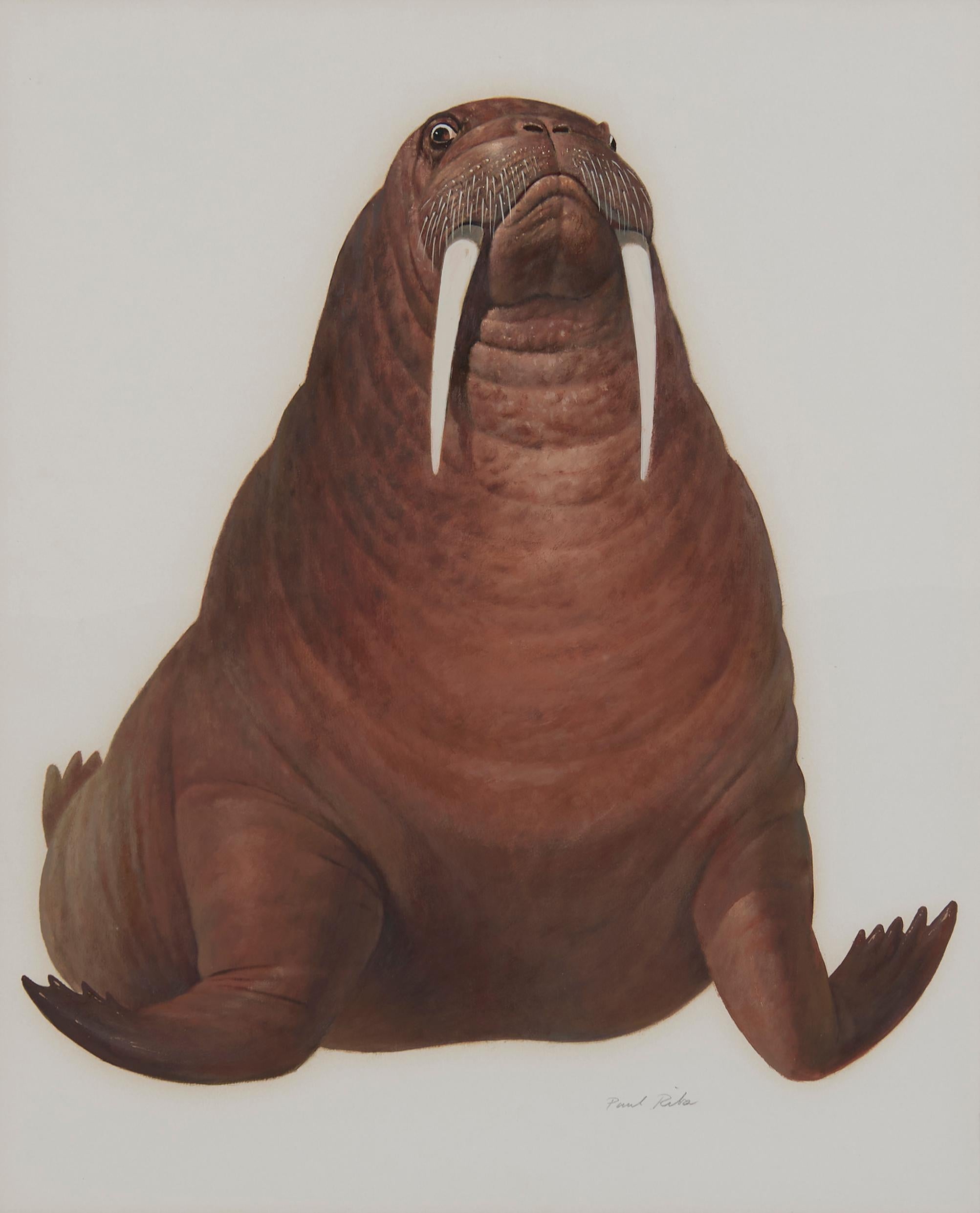 Paul Riba Figurative Painting - Walrus Oil Painting, 20th Century Magical Realism Artist, Cleveland School