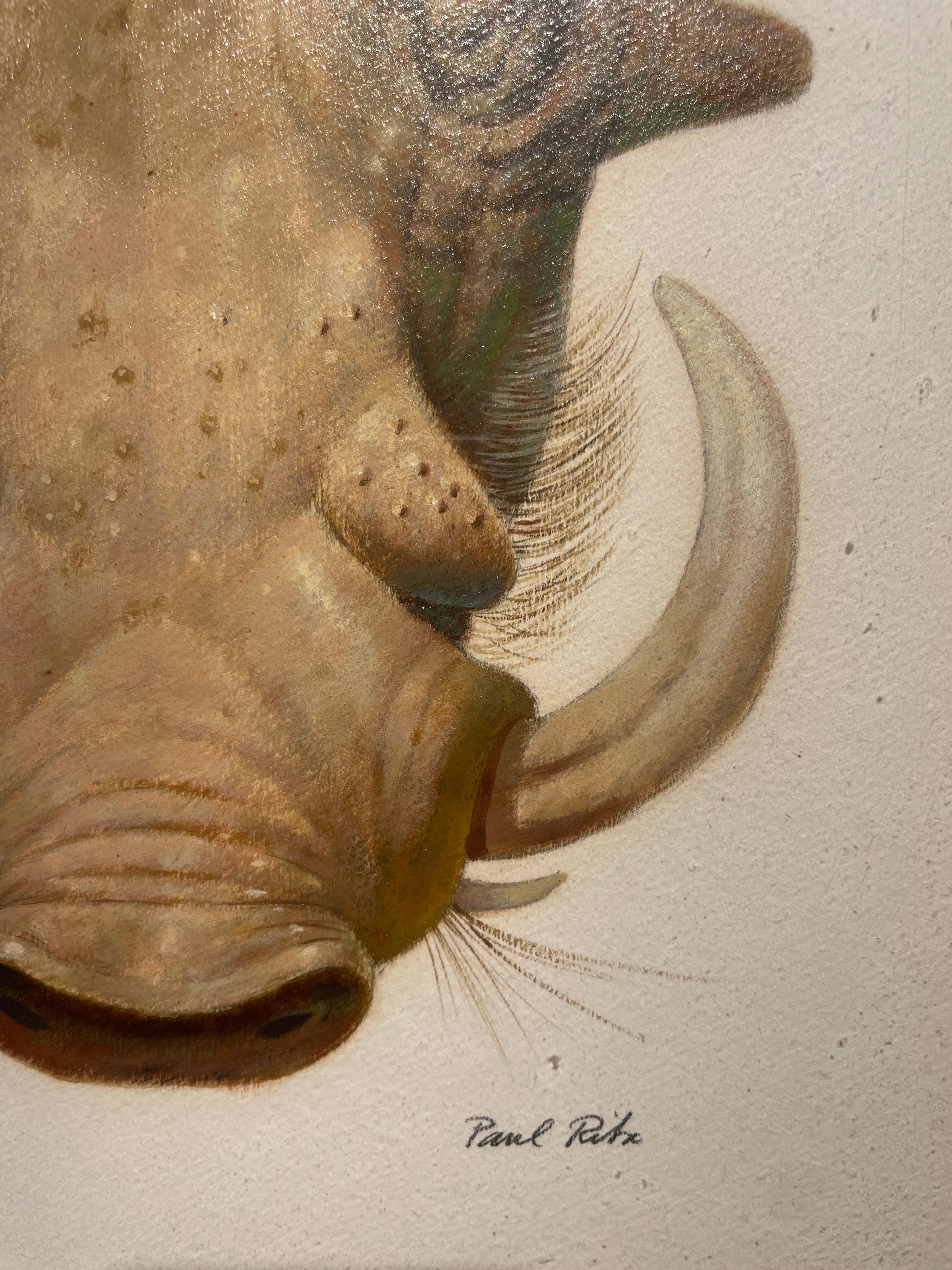 Wart Hog, pintura al óleo del siglo XX del Surrealista Mágico, Escuela de Cleveland en venta 6