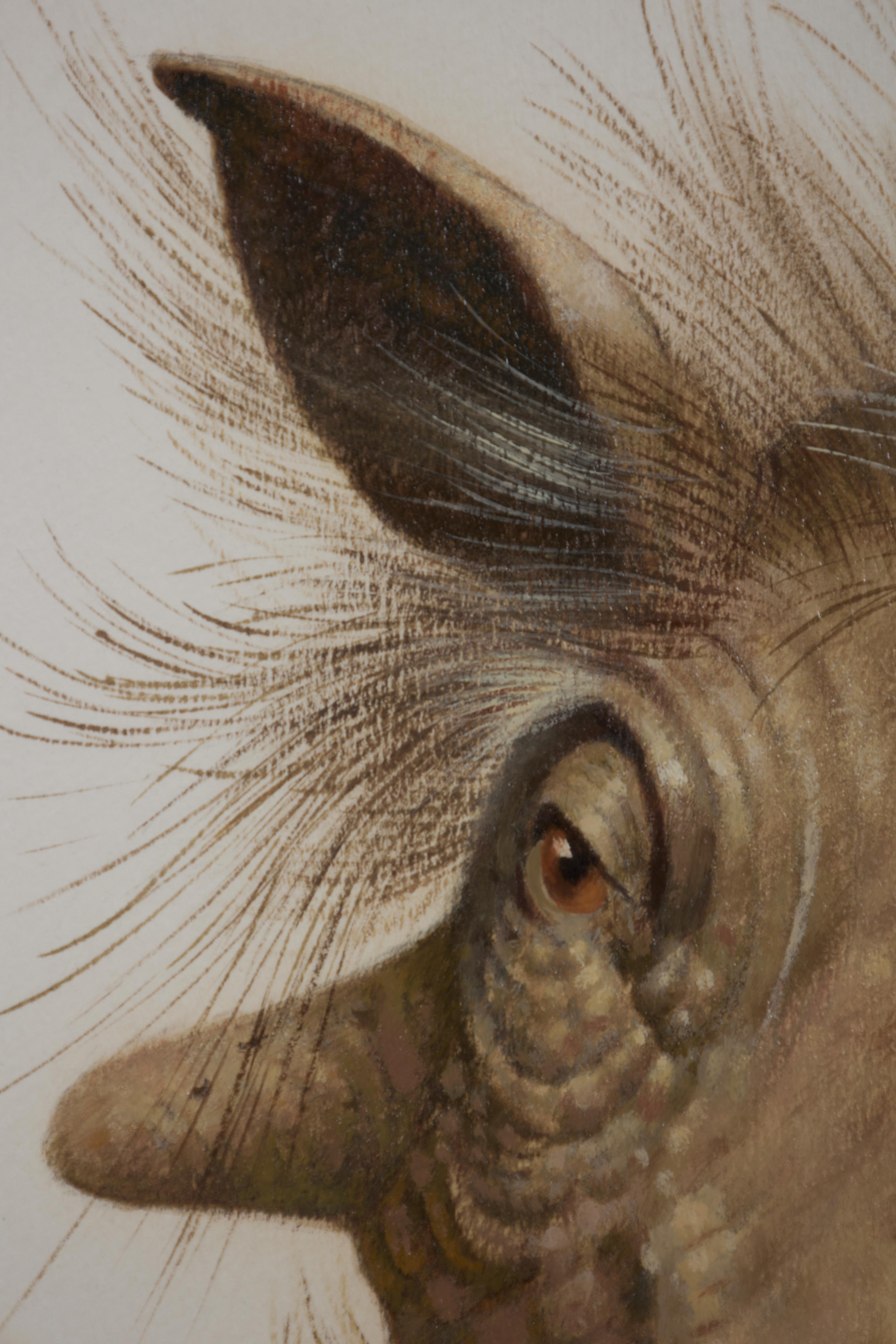 Wart Hog, pintura al óleo del siglo XX del Surrealista Mágico, Escuela de Cleveland - Figurative Painting Marrón de Paul Riba