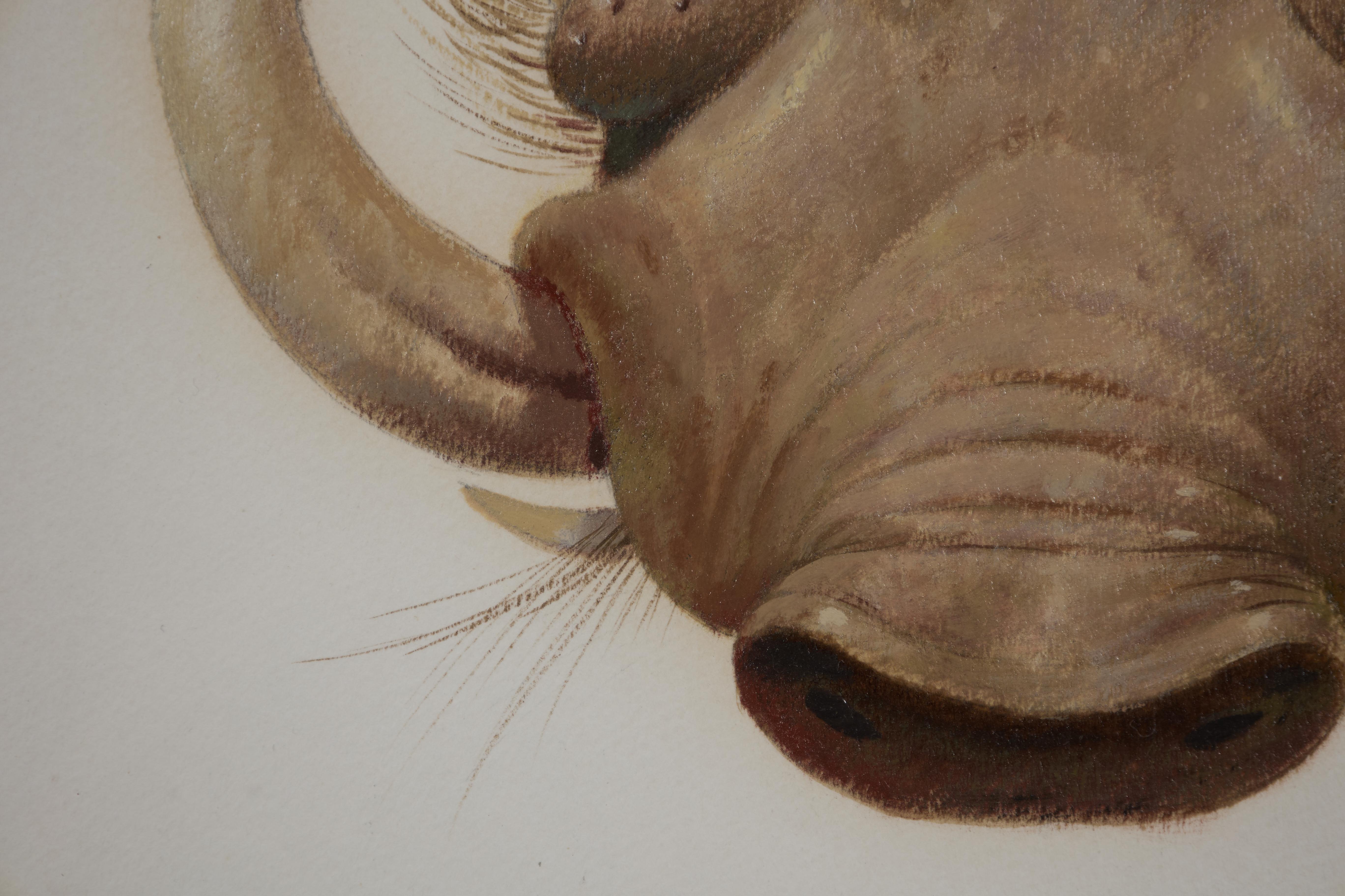 Wart Hog, pintura al óleo del siglo XX del Surrealista Mágico, Escuela de Cleveland en venta 2