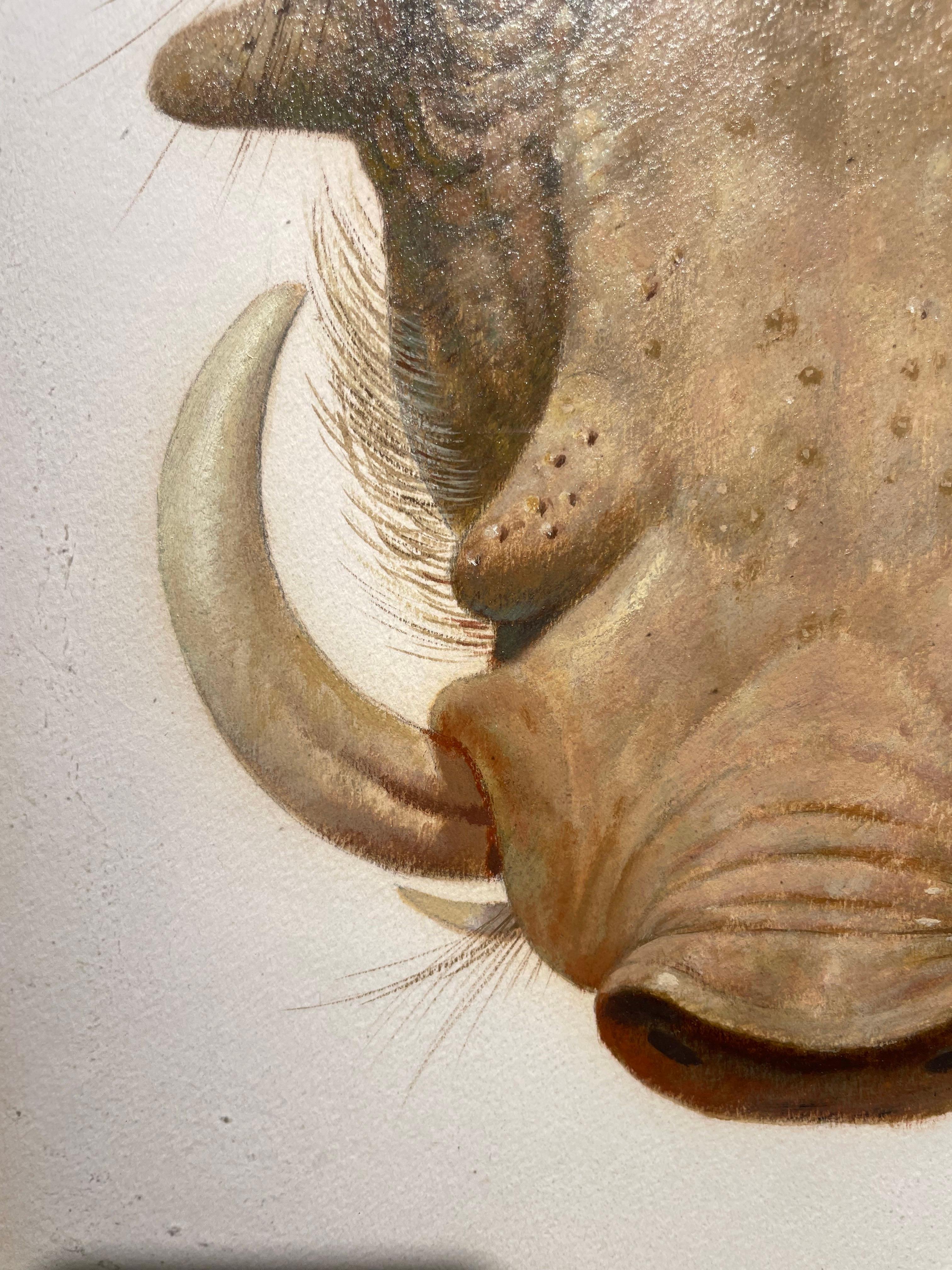 Wart Hog, pintura al óleo del siglo XX del Surrealista Mágico, Escuela de Cleveland en venta 3