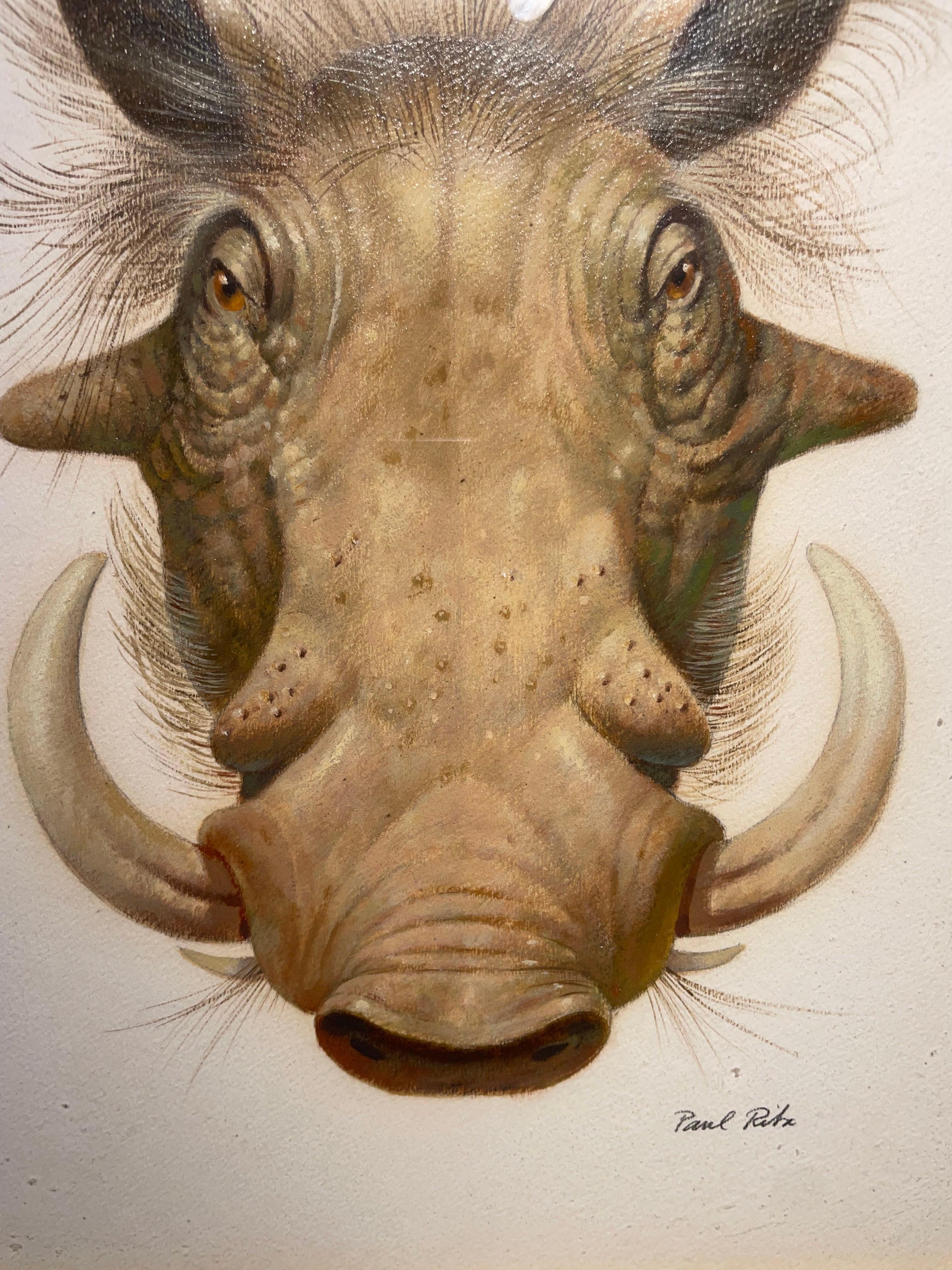 Wart Hog, pintura al óleo del siglo XX del Surrealista Mágico, Escuela de Cleveland en venta 4