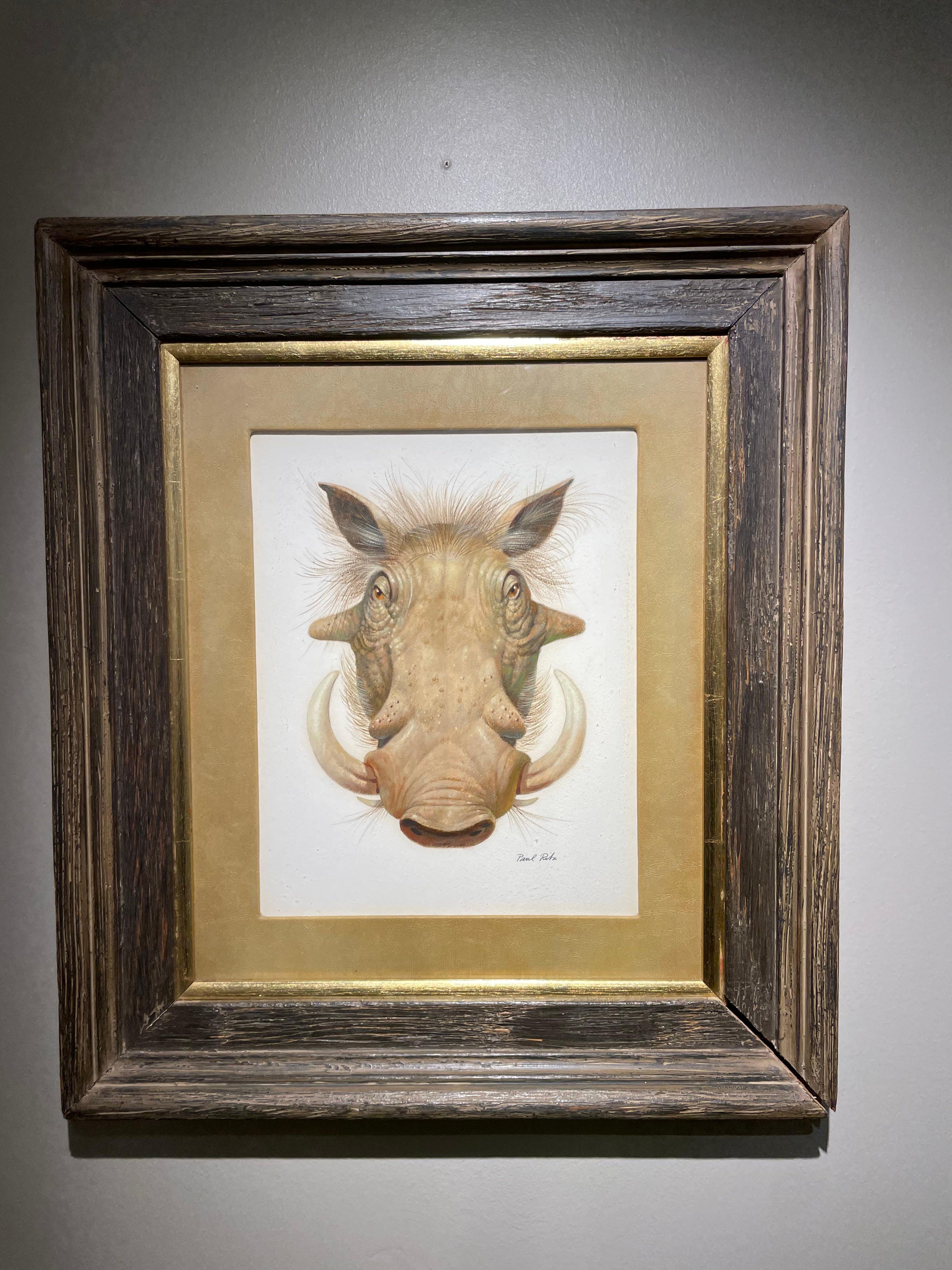 Wart Hog, pintura al óleo del siglo XX del Surrealista Mágico, Escuela de Cleveland en venta 5