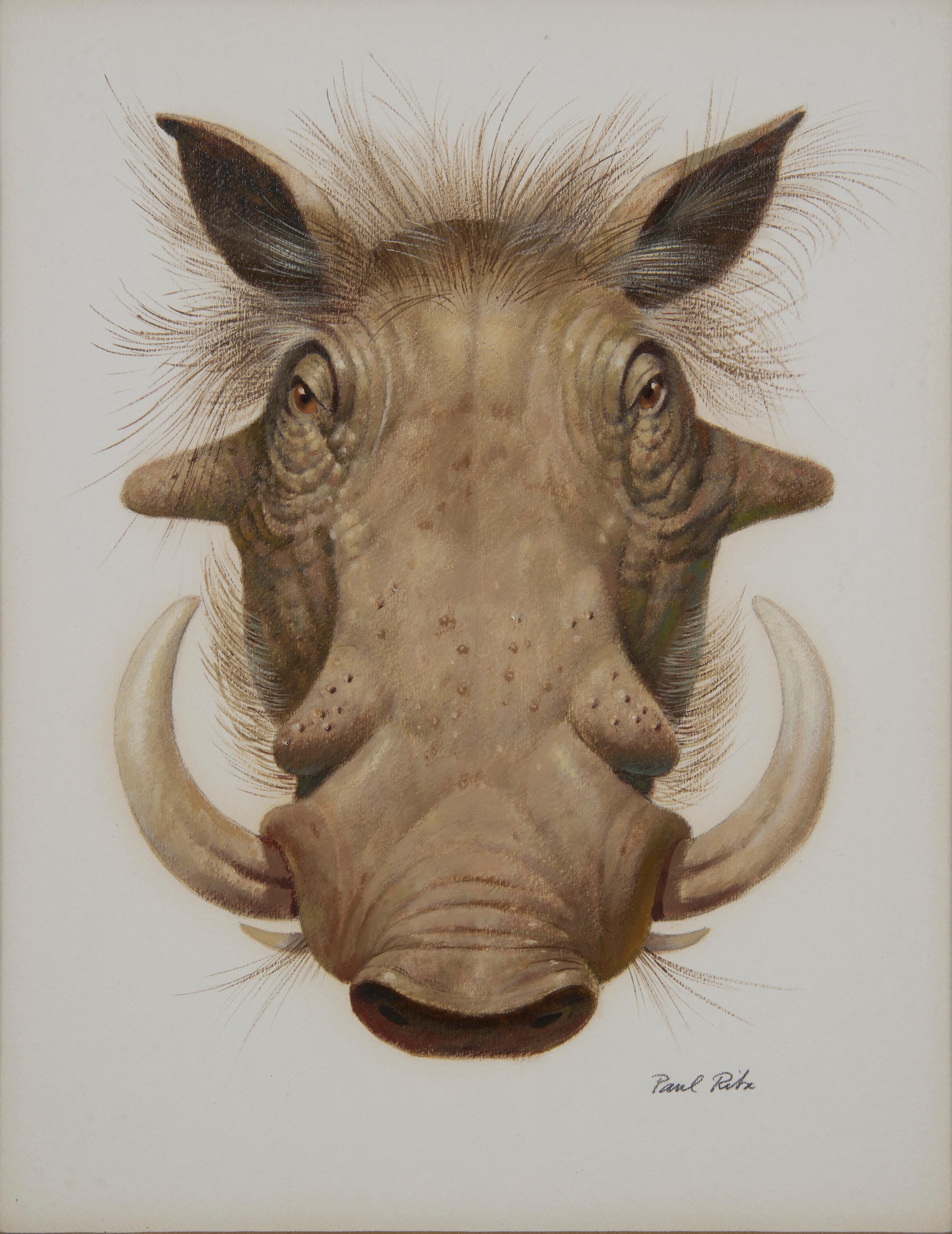 Figurative Painting de Paul Riba - Wart Hog, pintura al óleo del siglo XX del Surrealista Mágico, Escuela de Cleveland