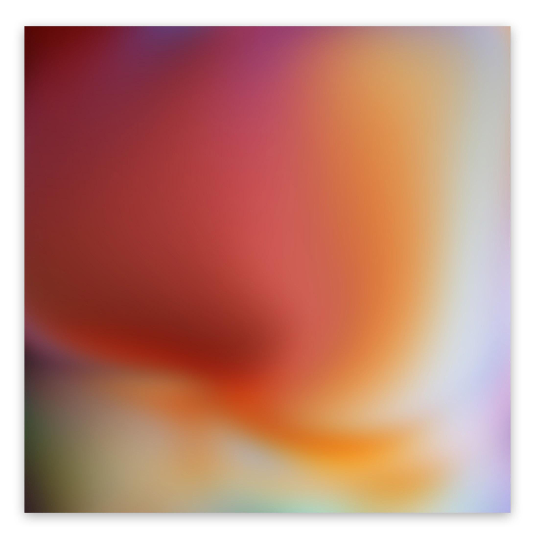 Paul Snell Abstract Photograph – Gebleicht # 202009