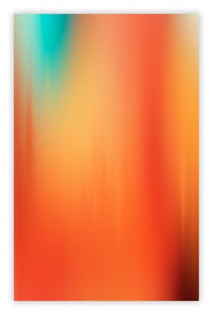 Bleed n° 202503 (photographie)
