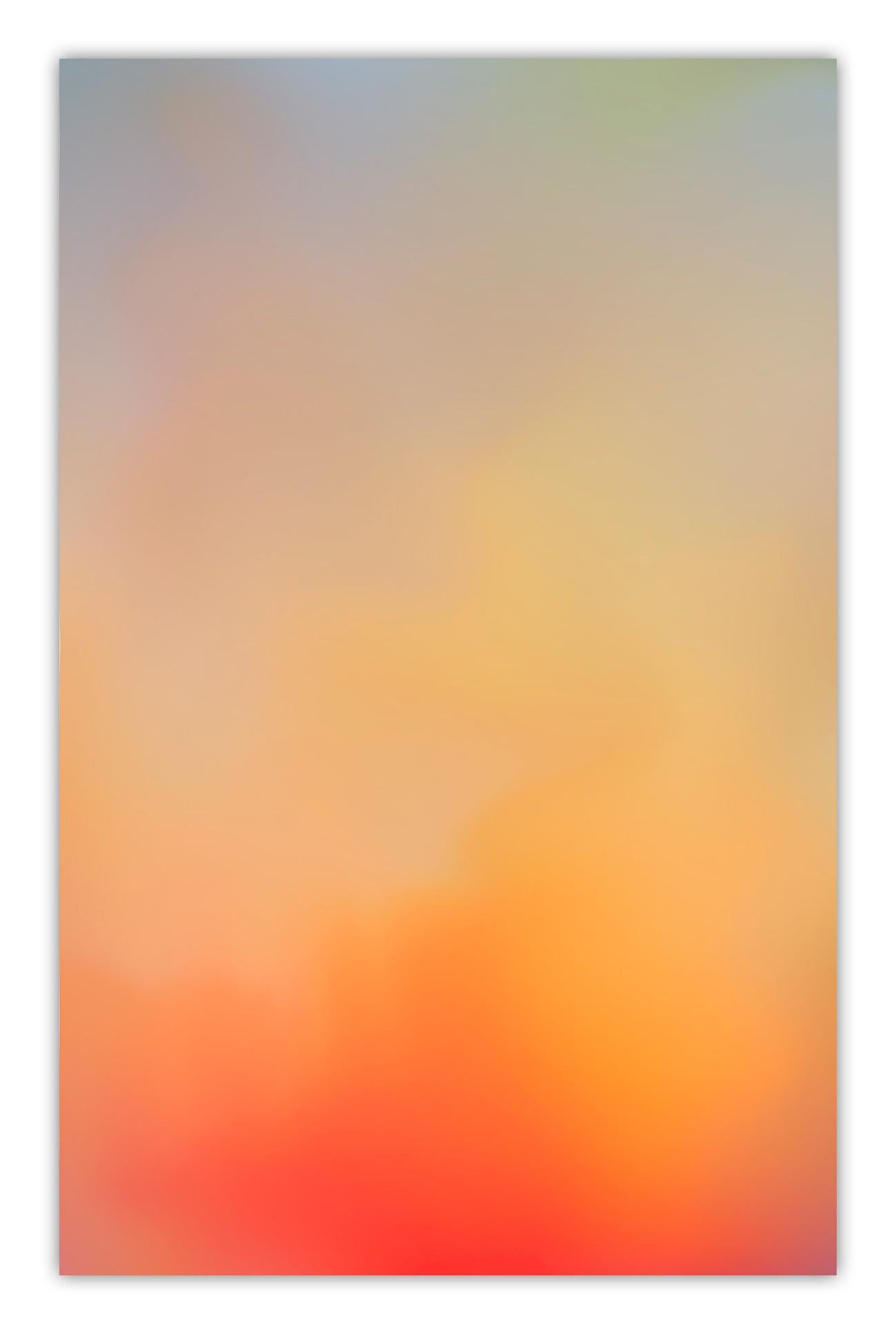 Bleed # 202610 (Abstract Photography)