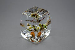 Paul Stankard Dragonfly hovering Beautiful Blossoming Botanical + Human form