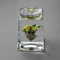 Paul Stankard Glass Paperweight Fine Art Blossoming White Lillys —signed 90'