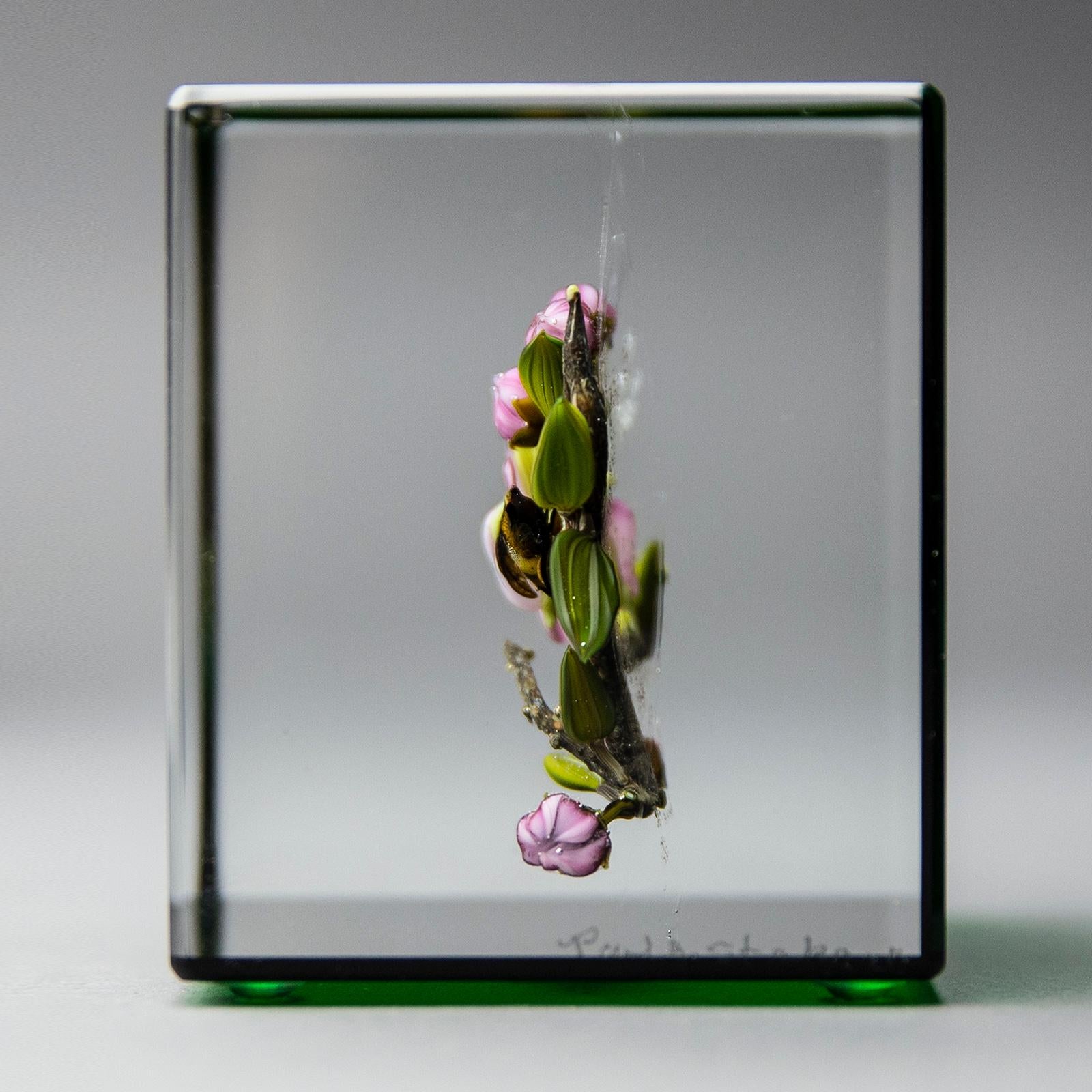 Artist: Paul Stankard
Description: Green Apple blossom branch with budding flowers with honey bee
Medium: Lampworked Hand Crafted Glass
Size: 3