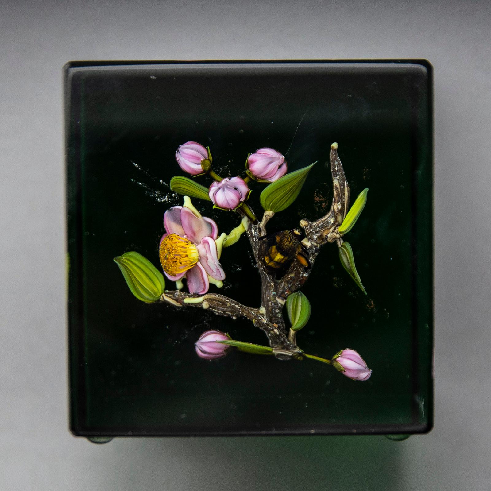 Paul Stankard Glass Paperweight Fine Art Green Apple Blossom w/honey Bee —Signed For Sale 4