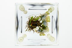 Paul Stankard H 46 Botanical Honey Bee w/human form — handmade glass paperweight