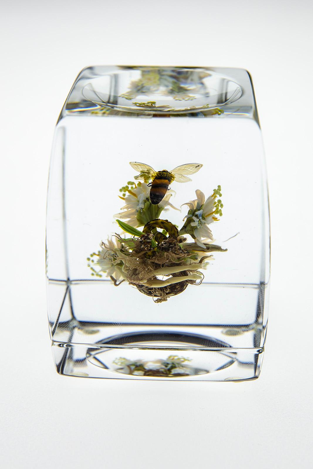 Paul Stankard H 46 Botanical Honey Bee w/human form — handmade glass paperweight 2