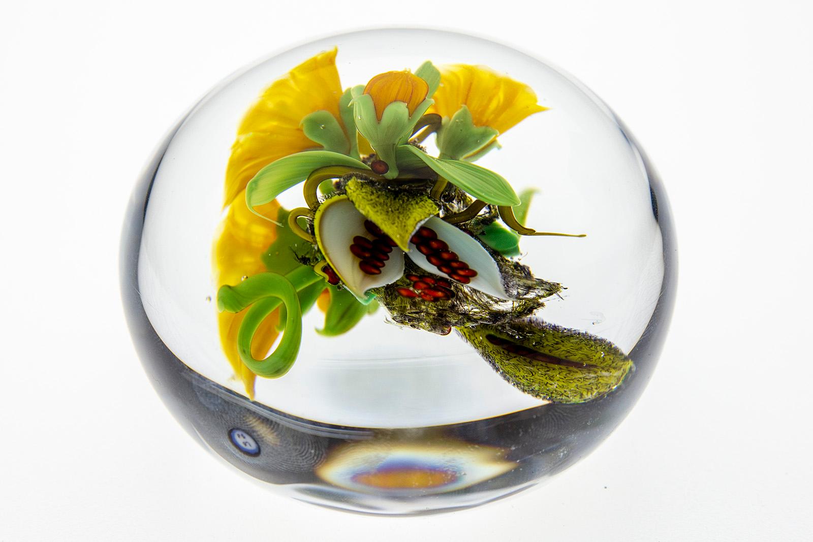 Paul Stankard Paperweight Seeds, yellow Lillys w/Wildflowers & Bursting seed pod For Sale 1