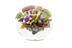 Paul Stankard Signed Round Hand Blown Glass Botanical Paperweight, Face in Roots
