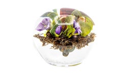 Paul Stankard Signed Round Hand Blown Glass Botanical Paperweight, Face in Roots