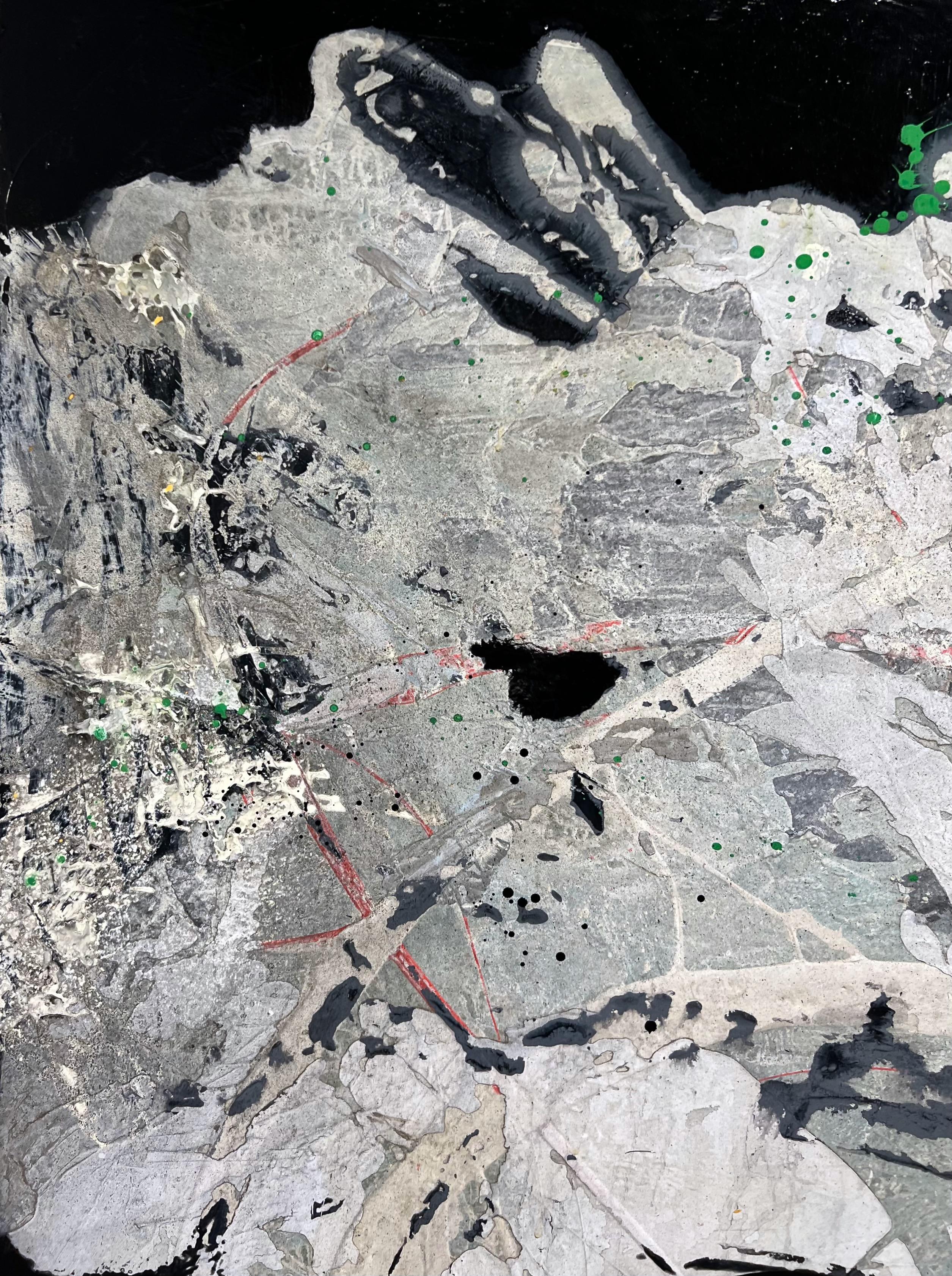 Paul Tamanian's energetic mixed-media paintings include using automobile paint, inks, raw pigments, acrylics applied through spilling, seeping, brushing, throwing, splattering, abrading, sanding, scraping and reapplying his media on thin sheets of