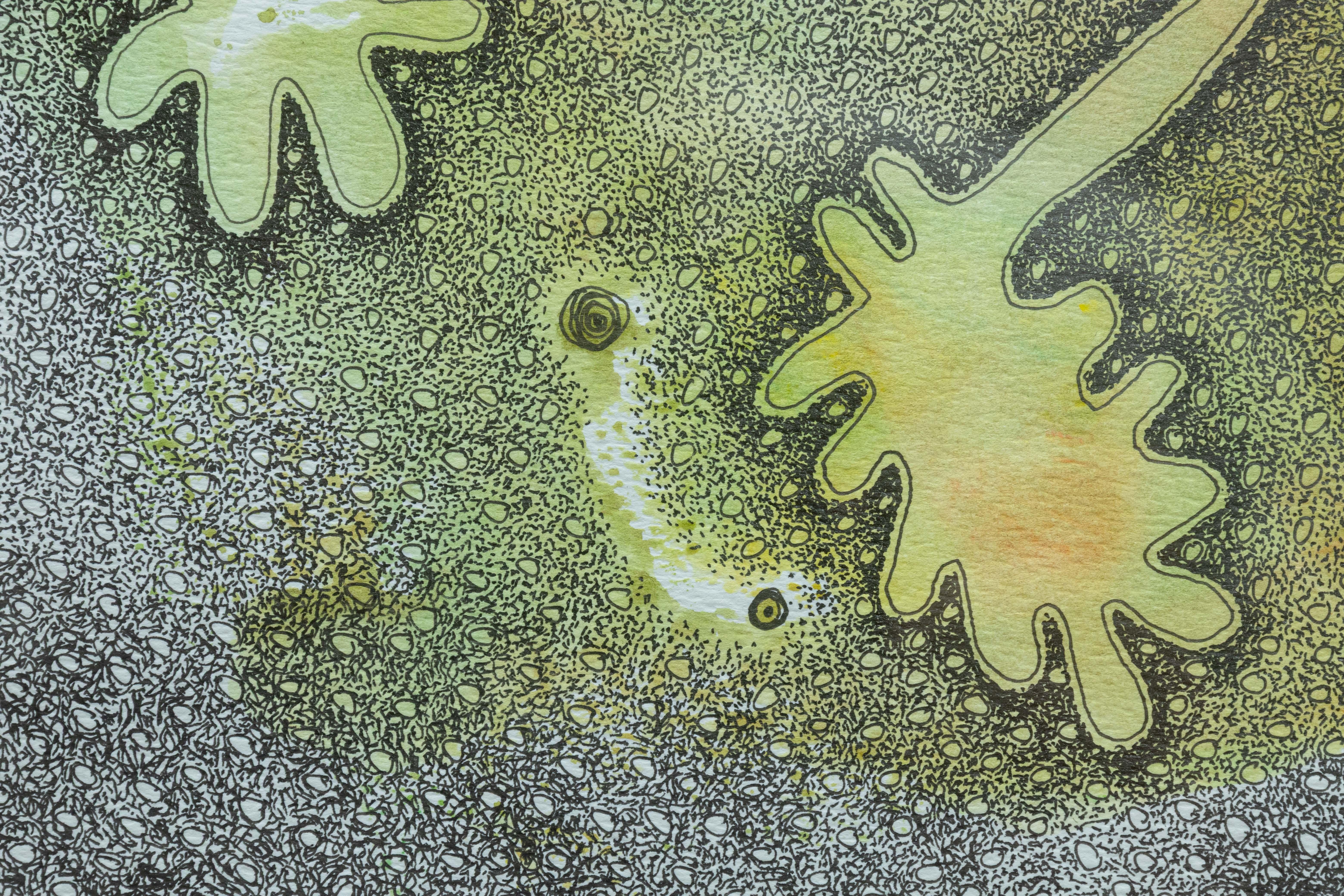Paul VerBurg Ohne Titel 38 Signiert Zeitgenössische Abstrakte Feder & Tinte Monoprint Gerahmt (20. Jahrhundert) im Angebot