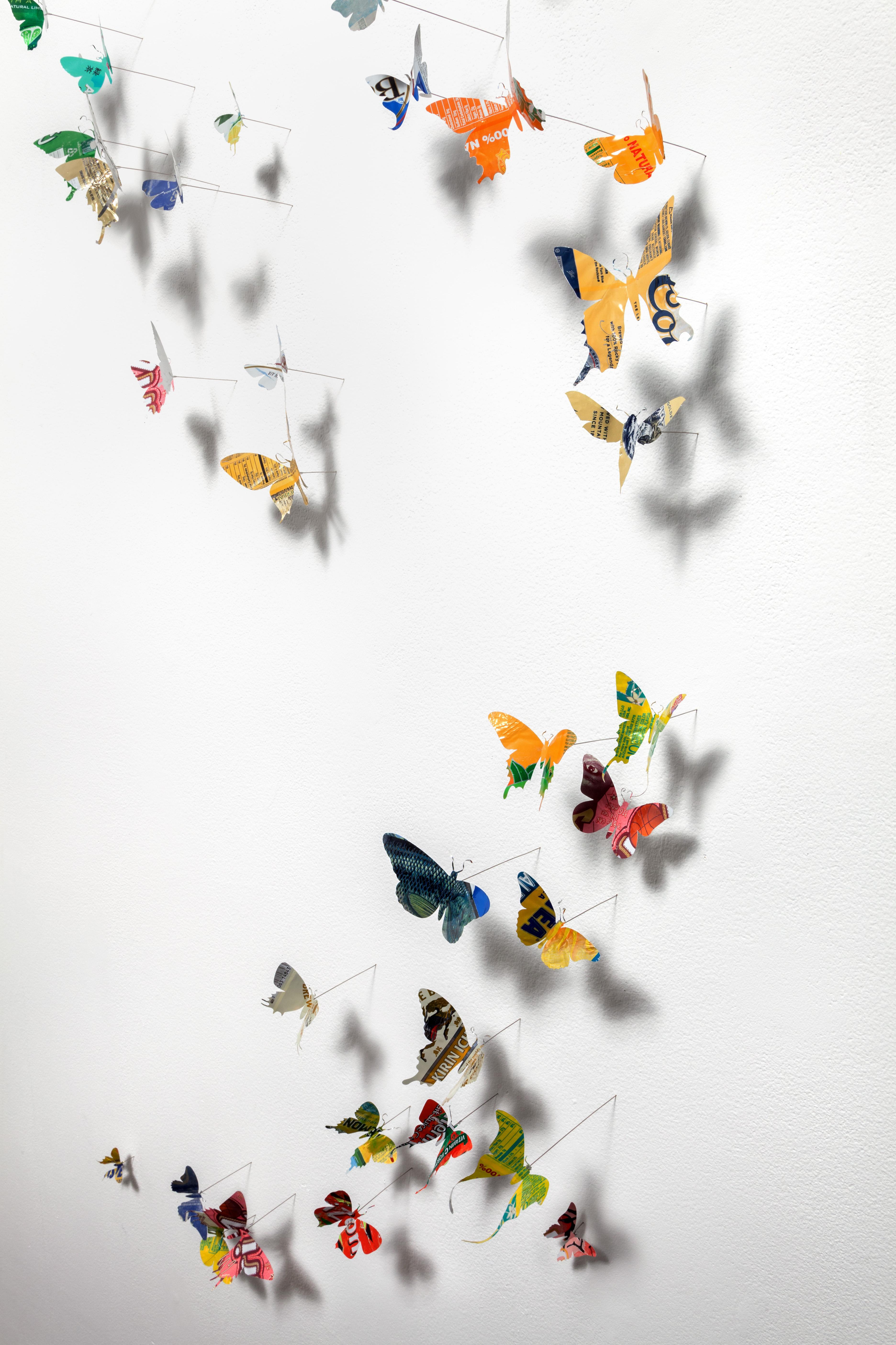 paul villinski butterflies for sale