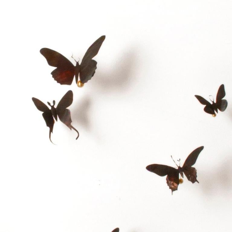 kinetic installation of 10 butterflies
medium: aluminum (found cans), wire, brass, soot

*cans and butterfly species will vary per set
*installation dimensions are variable and at discretion of client
*available in multiple color options (inquire